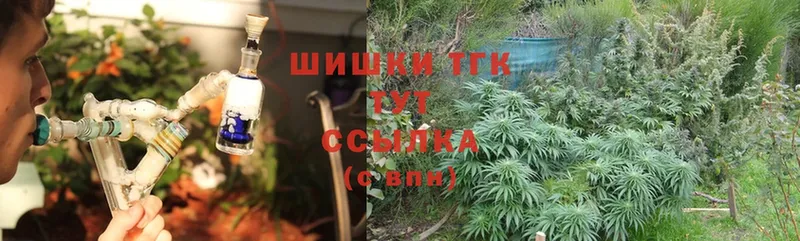 МЕГА   Полярный  Каннабис SATIVA & INDICA  где найти  